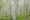 HD PENTAX-DA16-50mmF2.8ED PLM AW sample image HD PENTAX-DA16-50mmF2.8ED PLM AW sample image