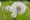 HD PENTAX-DA16-50mmF2.8ED PLM AW sample image HD PENTAX-DA16-50mmF2.8ED PLM AW sample image