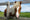 HD PENTAX-D FA 24-70mm F2.8 ED SDM WR Beispielbild