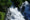HD PENTAX-D FA 24-70mm F2.8 ED SDM WR Beispielbild