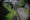 Image to render