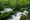 HD PENTAX-DA16-50mmF2.8ED PLM AW sample image