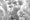 Fleurs monotones douces prises par le GRIIIX