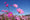 HD PENTAX-DA★11-18mmF2.8ED DC AW Beispielbild