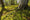 HD PENTAX-DA★11-18mmF2.8ED DC AW Beispielbild